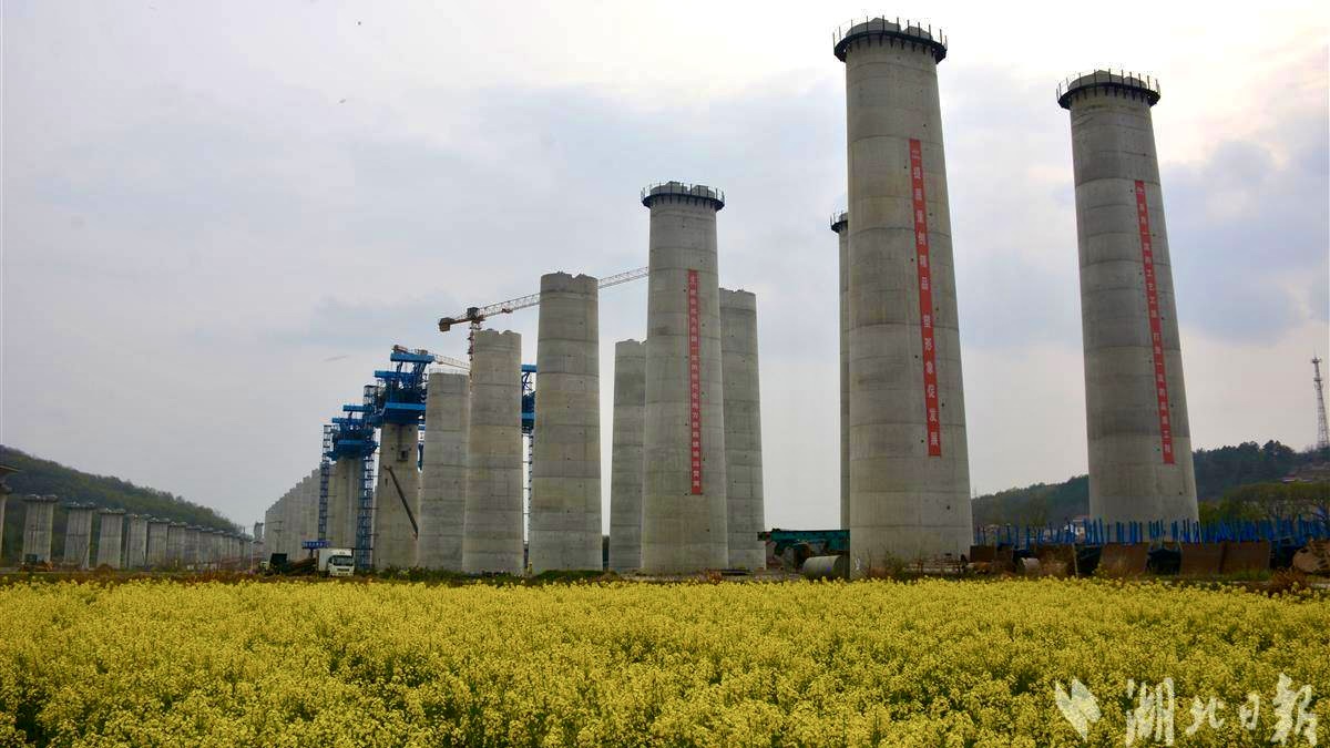 好博(中国)体育智能科技股份有限公司网站
