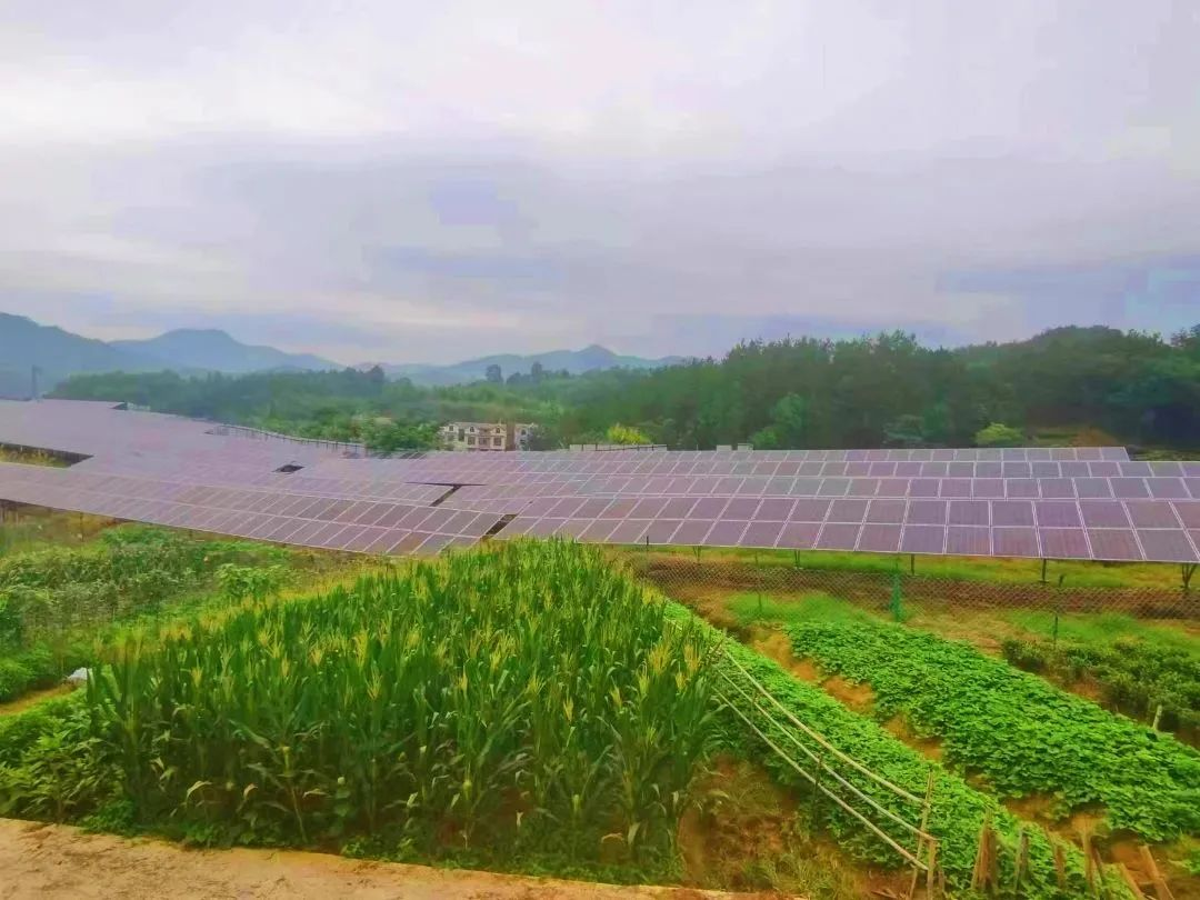 好博(中国)体育智能科技股份有限公司网站